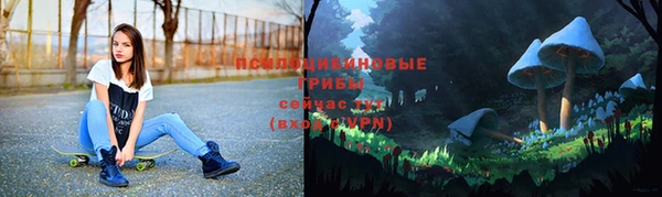 индика Елабуга