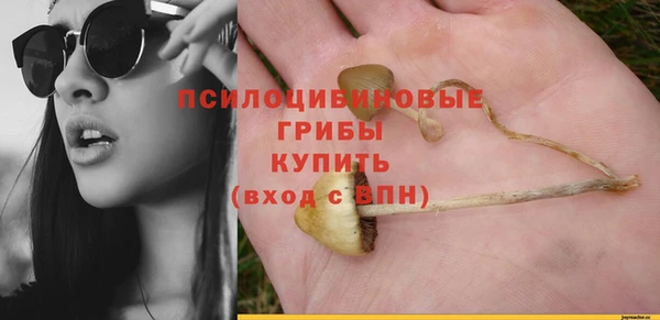 амф Дмитриев