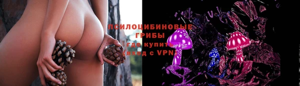 индика Елабуга