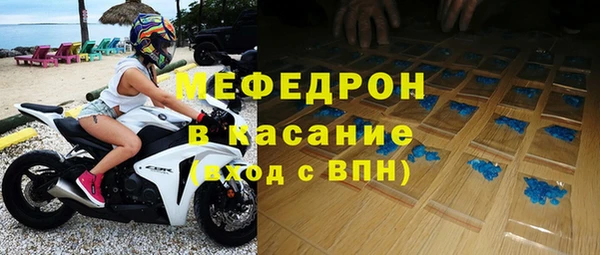 индика Елабуга