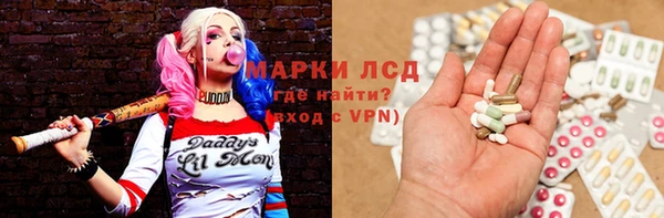 индика Елабуга